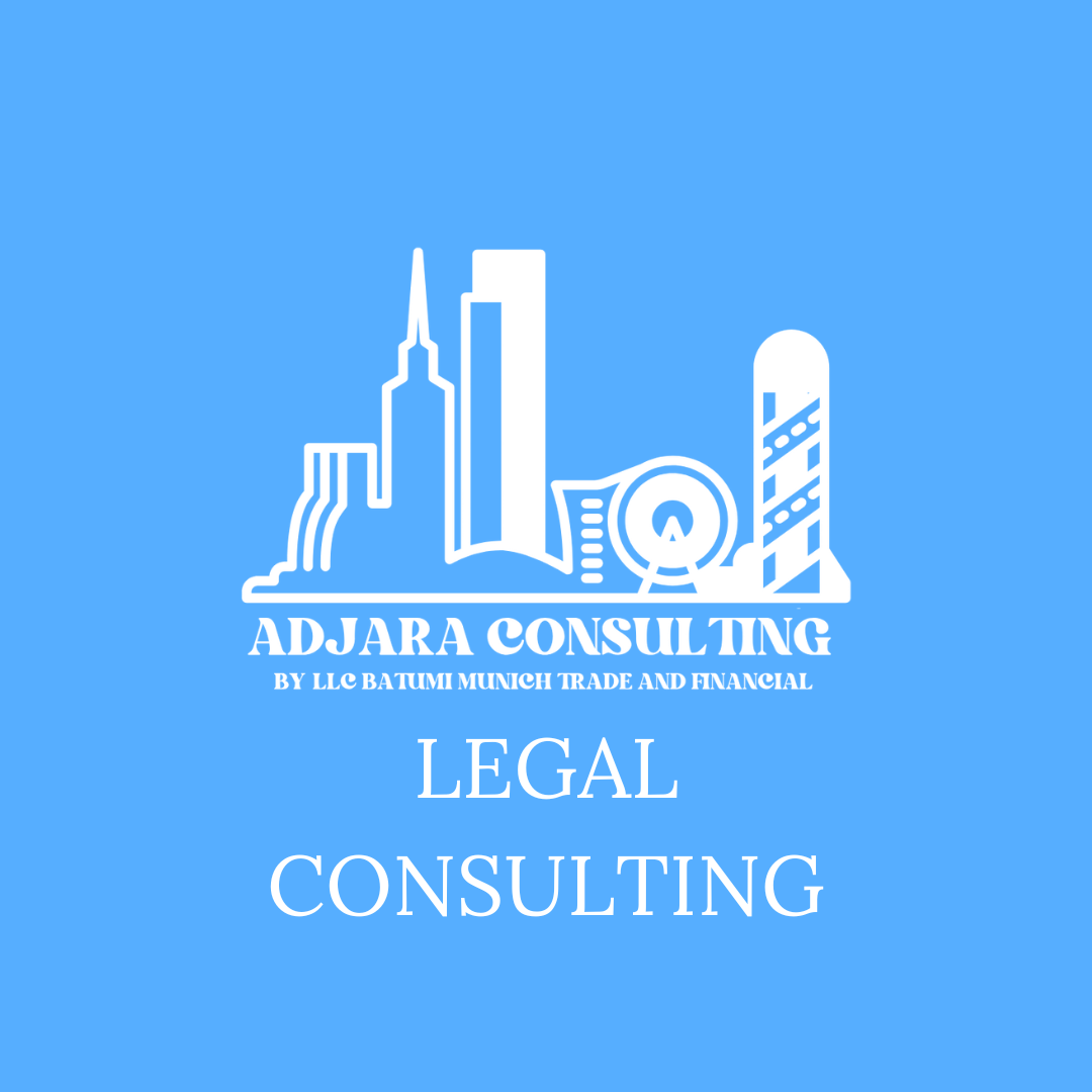 Legal consulting (1 hour)